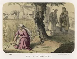 Widowed: RUTH GLEANING
