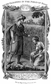 Becomes: Ruth, Moabite widow, gleaning amongst the corn
