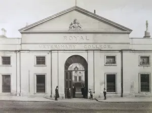 Virginia Hobday: RVC/ENTRANCE 1891