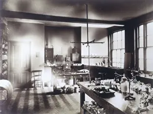 Virginia Hobday: RVC/INNER PATHOLOGY LAB