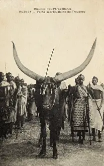 Tassles: Rwanda - Sacred Cow, Herd Queen