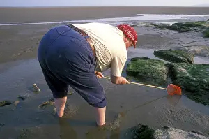 Saucy: RWF Willie Poole - shrimping