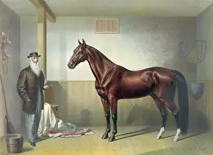 C1876: Rysdyk's Hambletonian