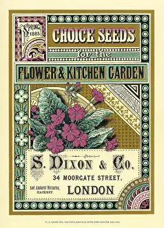 Moorgate: S Dixon - Co seed catalogue