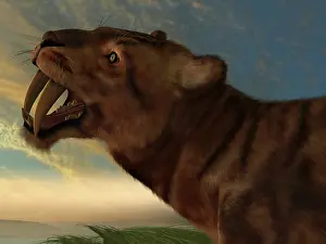 Eocene: The Saber-Tooth Cat with dagger like front canine teeth