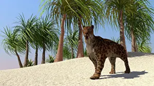Wildcat: A Saber-Tooth Tiger in a tropical environment