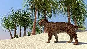 Wildcat: A Saber-Tooth Tiger in a tropical environment
