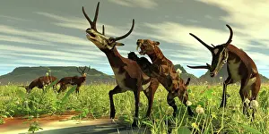 Buck: A saber-toothed cat comes out of high vegetation