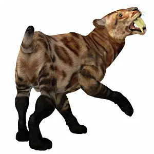 Eocene: Saber-toothed tiger illustration