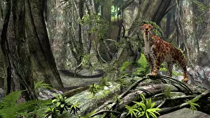 Wildcat: Saber-Toothed Tiger in a prehistoric forest