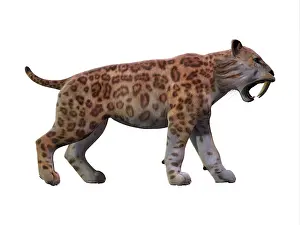 Eocene: Saber-toothed tiger on white background