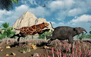 Odd Toed: A Sabre-Tooth Tiger attacking a young Deinotherium