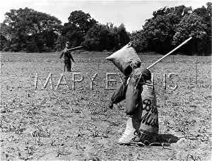 Scarecrows: SACK SCARECROWS