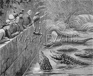 Sindh: SACRED ALLIGATORS 1878
