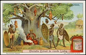 Fetish: SACRED BAOBAB