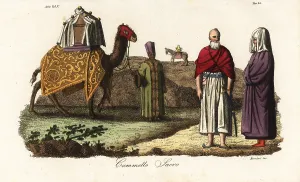 Decked: Sacred camel decked out for the pilgrimage to Mecca