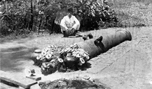 Phallic: SACRED CANON, JAVA