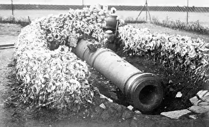 Phallic: SACRED CANON, JAVA