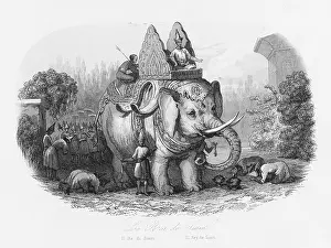Sacred elephant of the King of Siam