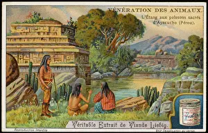 Ayacucho: SACRED FISH, PERU