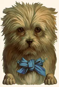 Comforted: Sad Dog with Blue Ribbon