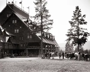 Boasted: Saddle Horses and Vacationing People Outside the