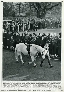 Mourns: Empty saddle: King George's white pony