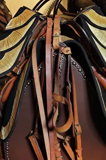 Republicaine: Saddles and harnesses, Workshops of the Republican