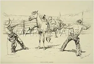 Saddling: SADDLING WILD HORSES