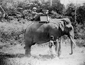 Minorities: SAFARI