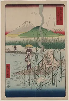 Rafts: Sagami River
