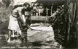 Rasping: Sago Industry of Sarawak