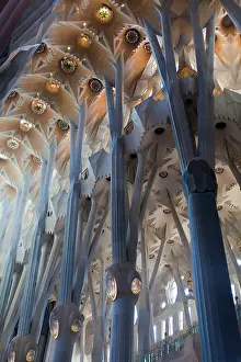 Naves: Sagrada Familia interior