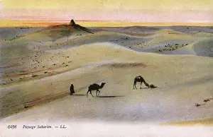Saharan: The Sahara Desert