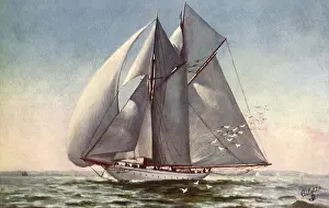 Swiftly: Sailboat