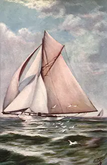 Fills: Sailboat