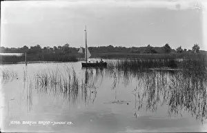 Reeds: Sailing on Barton Broad