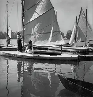 Donau: Sailing boats on the waters of the Old Danube