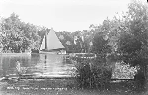 Sailboat: Sailing on Daisy Broad