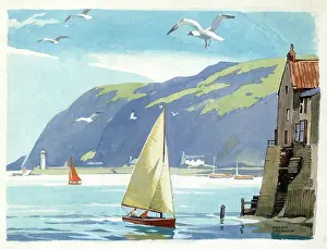 The Medici Society Ltd.: Sailing Dinghy in harbour