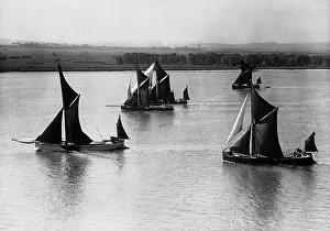 Regatta: Sailing regatta on the Thames, 1937