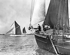Regatta: Sailing Regatta on the Thames