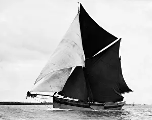 Regatta: Sailing Regatta on the Thames