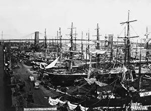 Sailboats: Sailing ships in the port of New York