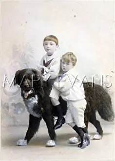 Evanss: SAILOR BOYS WITH DOG