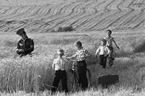 Harvester: Sailor in field