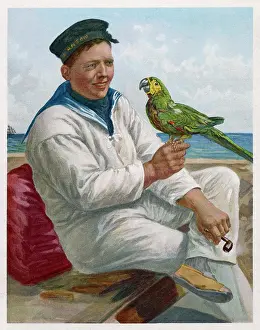 Decks: SAILOR AND PARROT
