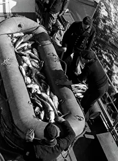 Inflatable: Sailors on board German warships