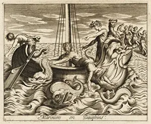 Dolphins: Sailors into Dolphins