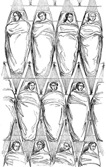 Disposition: Sailors in Hammocks